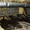 Fiberglass insulation dripping off a floor joist in a soaked crawl space with a think black liner in Charleston.