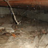 A crawl space with spiderwebs, mold, and uneven floors in Hollywood.