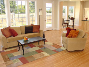 Home Mold Value