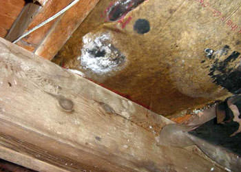 home mold removal in North Charleston