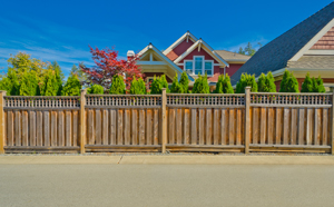 Charleston's experts for fence design & replacement