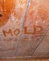 The word mold written with a finger on a moldy wood wall in Moncks Corner