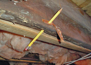 Destroyed crawl space structural wood in Cross